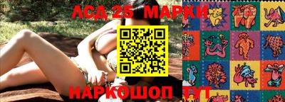 индика Канаш