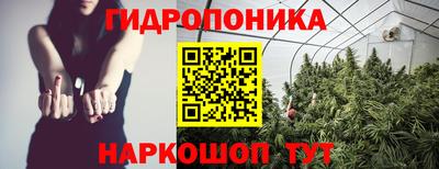 индика Канаш