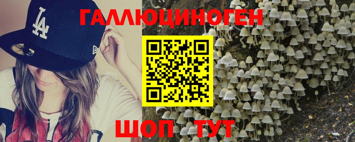 Псилоцибиновые грибы Psilocybine cubensis  Вход с VPN  Кузнецк 