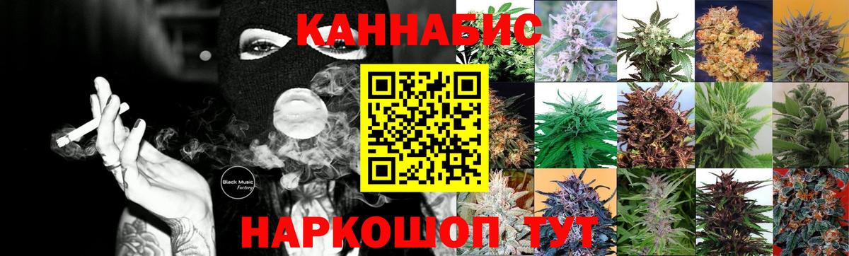 Марихуана сатива  Бошки марихуана Ganja  Кузнецк  Бошки Шишки планчик  Вход с VPN 